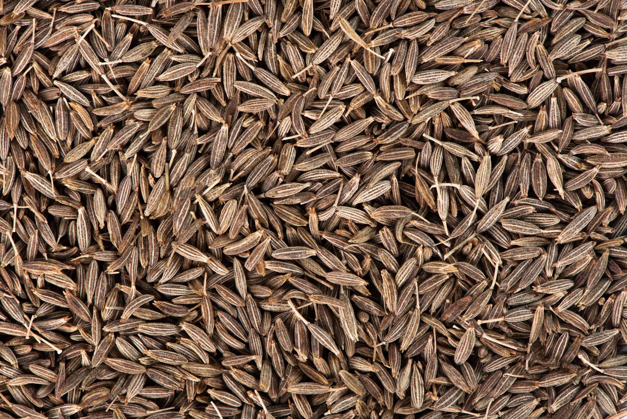 dry-seeds-cumin-Crocus Media.jpg